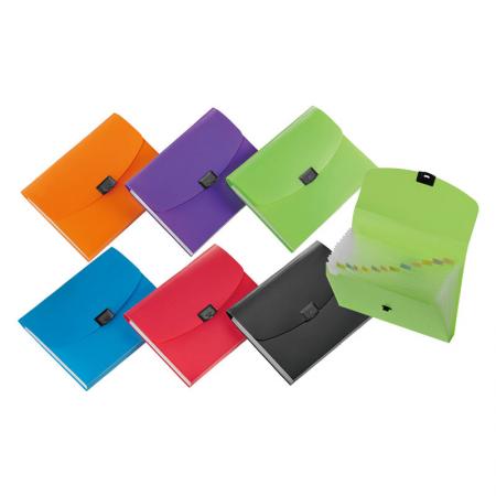 Quick-lock Expanding File - Includes preprinted tab inserts and plastic locking closure