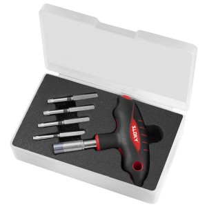 BT Set Torque Screwdriver - BT Set of Sloky torque screwdriver with bits of Hex, Torx and Torx Plus; ; best recommand for torque adapters bigger than 2Nm.
User friendly for CNC cutting tool of machining, turning and milling.