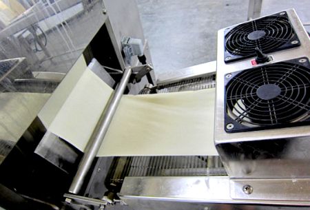 ANKO’s Spring Roll Production Line provides Solutions for a Jordanian Client’s Vegetable Spring Roll Manufacturing Issues