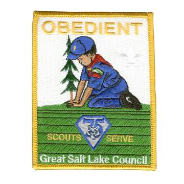Cub Scout-patches - Cub Scout-patches