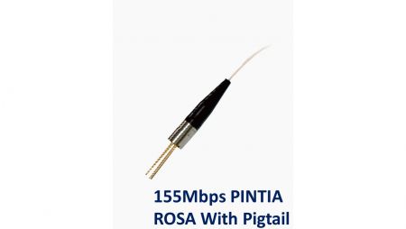 155Mbps PINTIA ROSA with pigtail