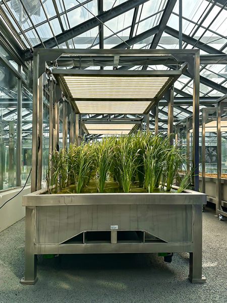Custom stainless steel adjustable LED grow plant lighting for greenhouse