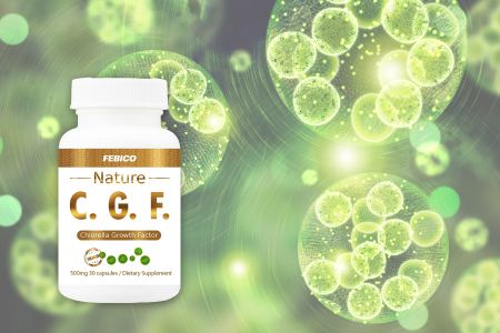 Czynnik wzrostu Chlorelli (CGF) - C.G.F zawiera wzbogacone i kompleksowe składniki odżywcze, które wspierają zdrowie i regenerację komórek