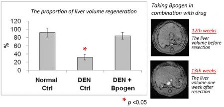 Improve liver regeneration after liver damage