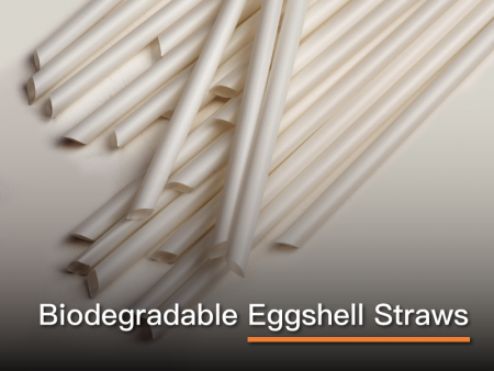 Biodegradable Eggshell Straws