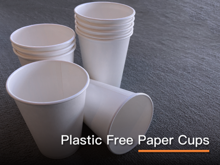 Plastic Free Paper Cups