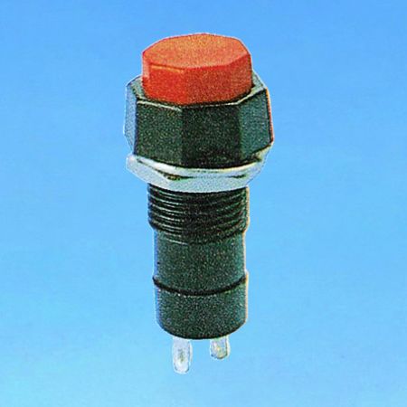 Pushbutton Switch with octagon cap - Pushbutton Switches (R18-24A/R18-24B)