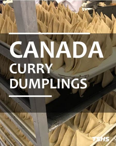 Fried Dumpling Continuous Conveyor Fryer (Canada) - Fried Dumpling machine