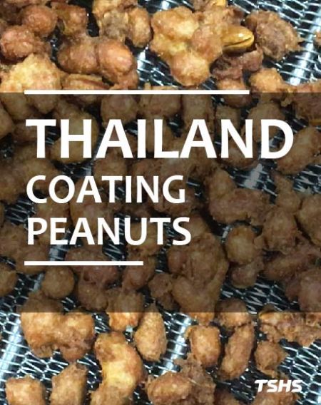 Improve Coated Nuts Processing-Batch Roaster Machine (Thailand) - Thailand coated nuts processing