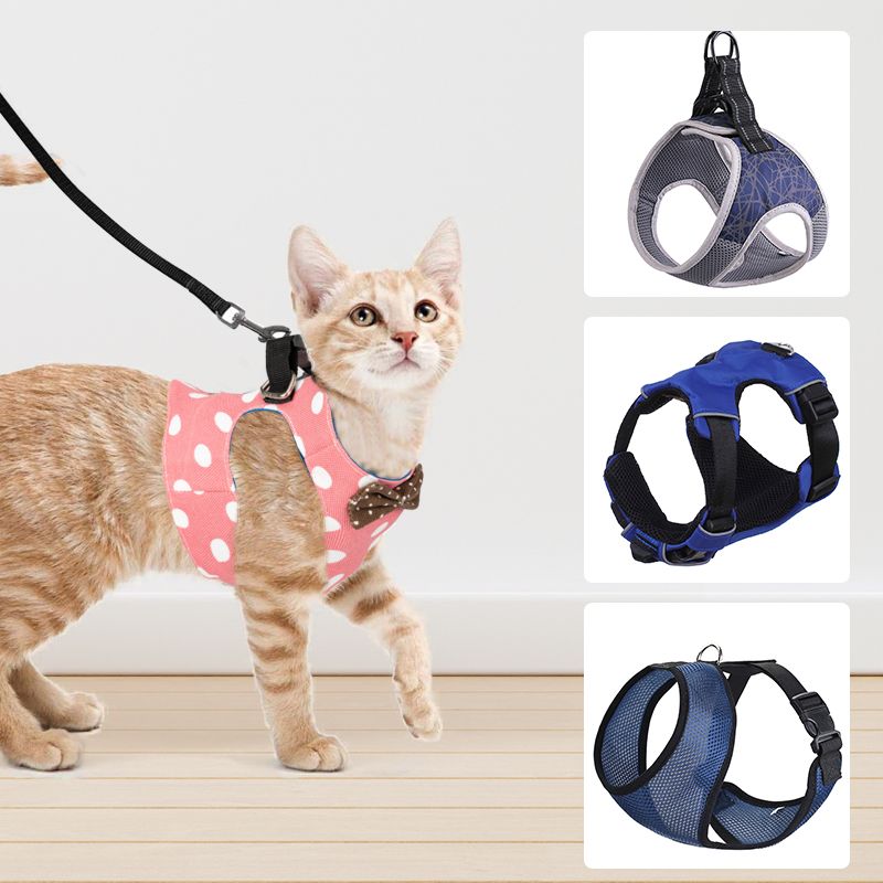 Unique Cat Leash & Harness Supplier
