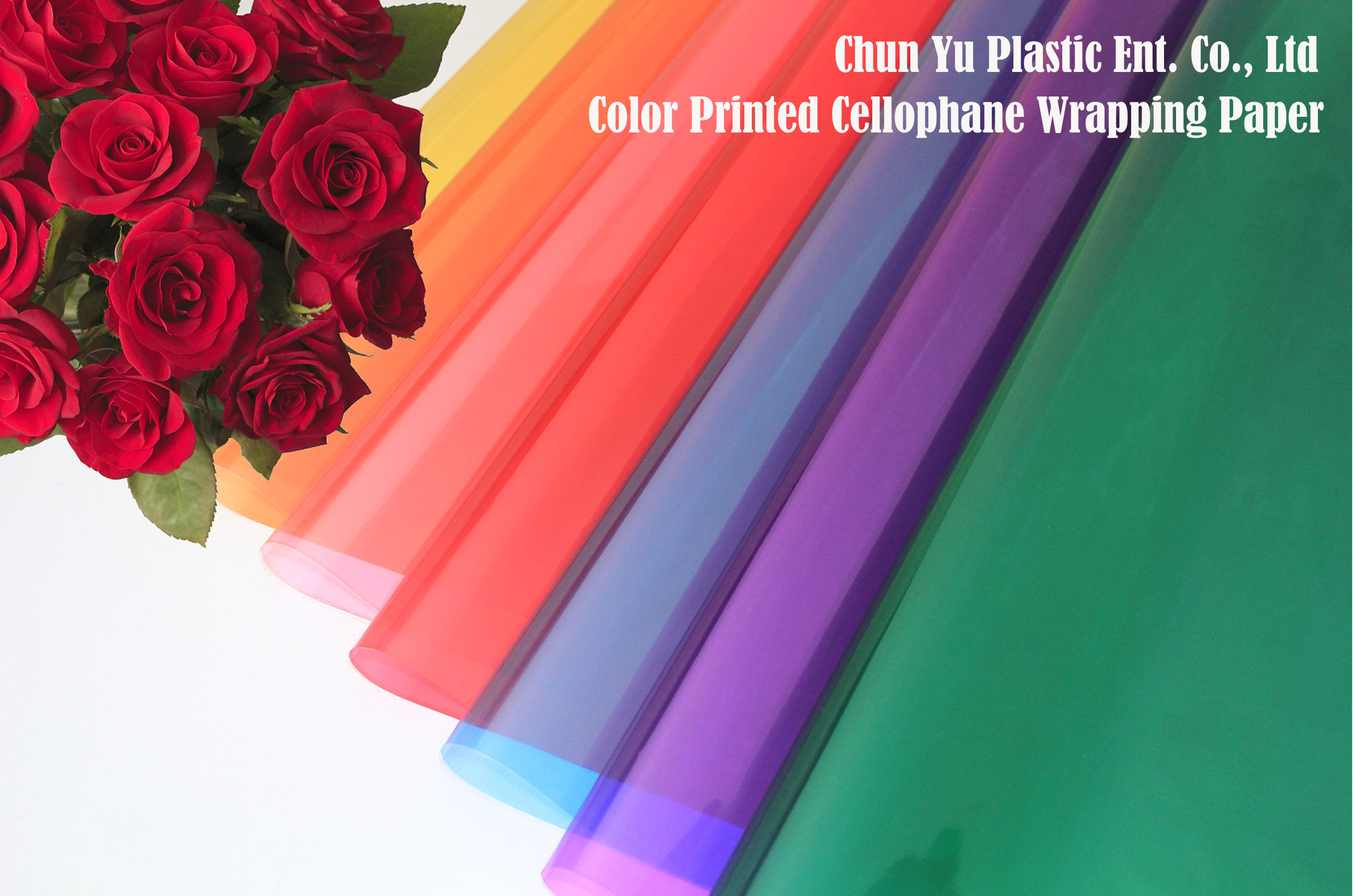 Cut flower bouquet wrapped in translucent color printed clear cellophane wrapping paper