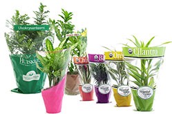 Supplier of Potted Plant Flower Sleeves