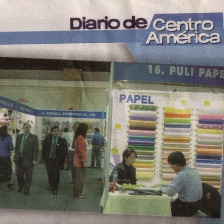 Puli Paper Company