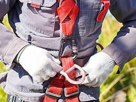 Safety harness